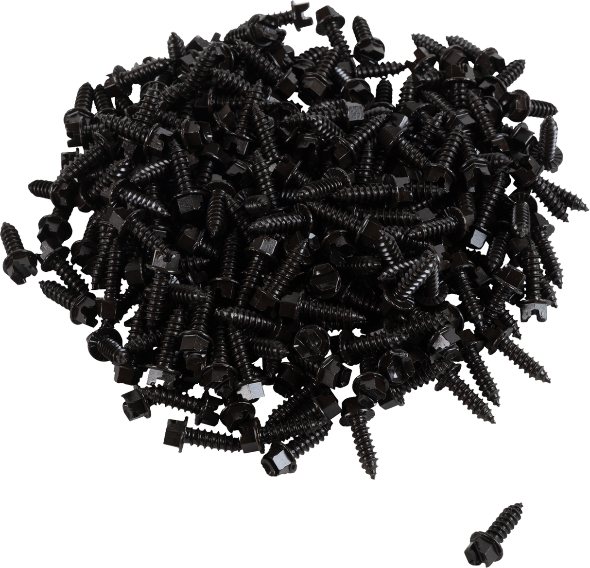 AMA Race Legal Traction Screws