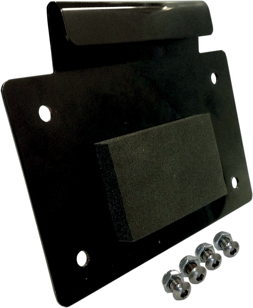 License Plate Mount