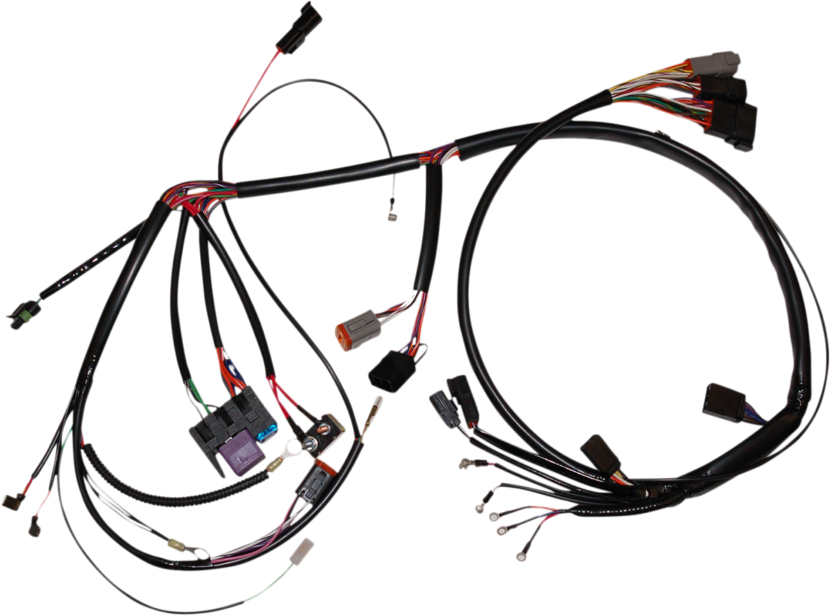 Complete Bike Wiring Harness