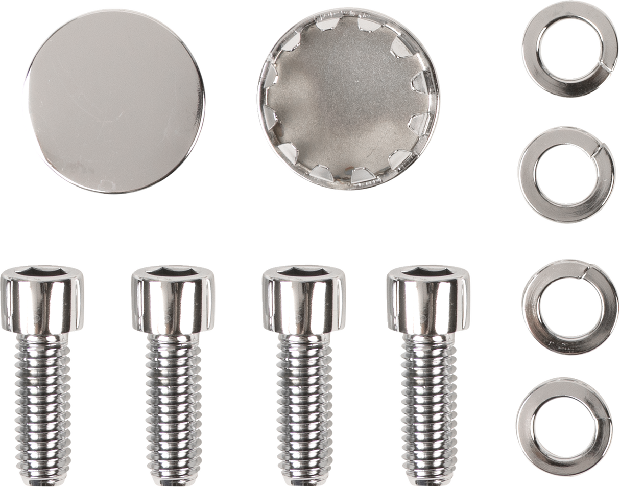 Socket Head Swingarm End Cap Bolt Kit