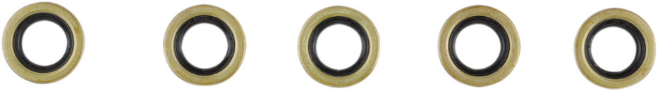 Starter Shaft Seal