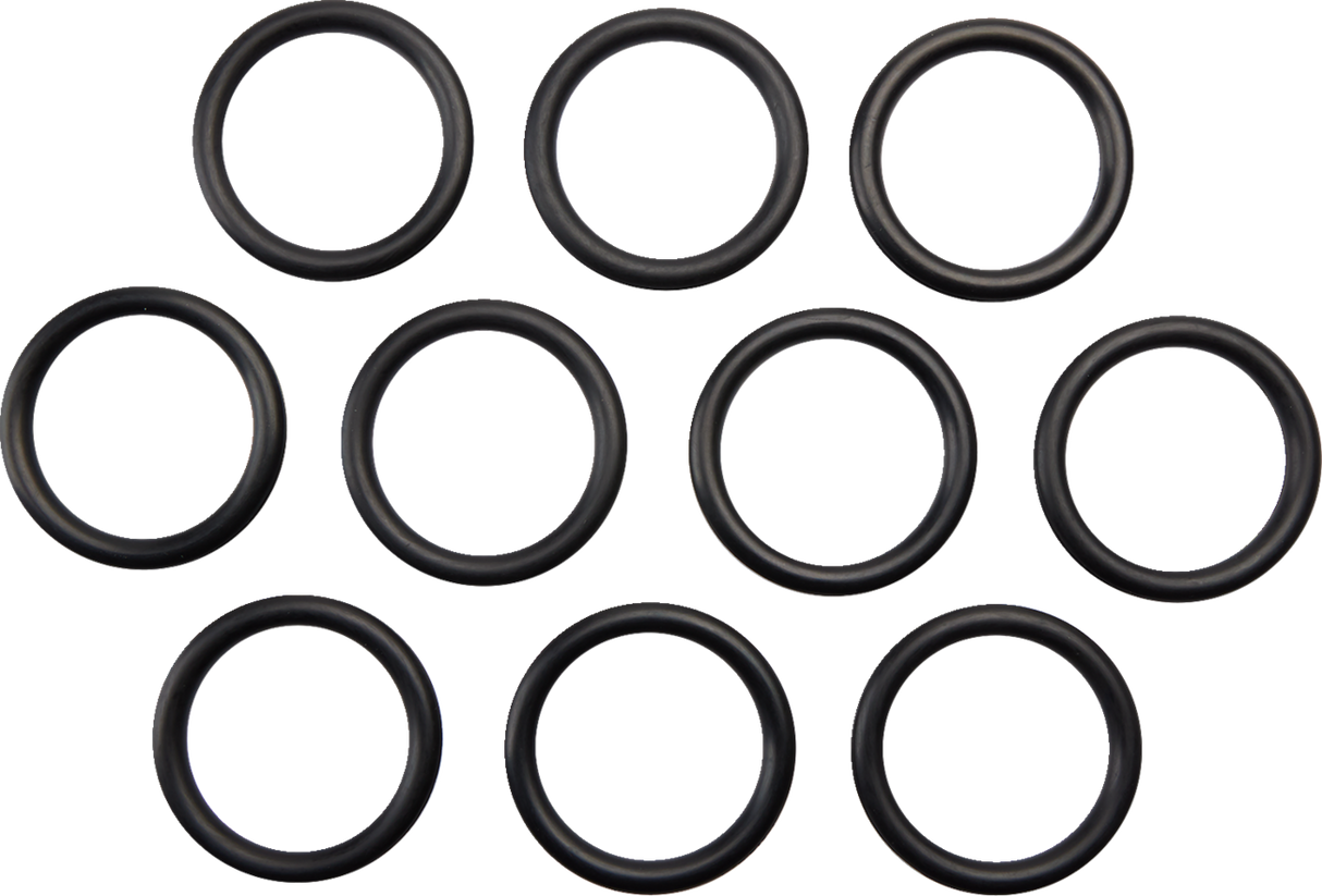 Gas Cap O-Ring