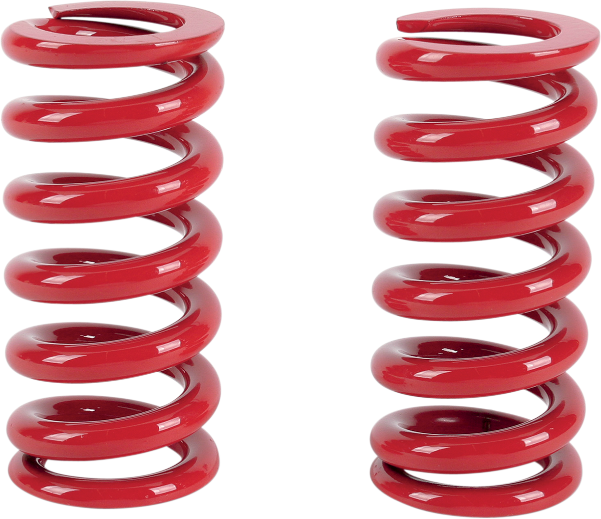 Big Shock Springs