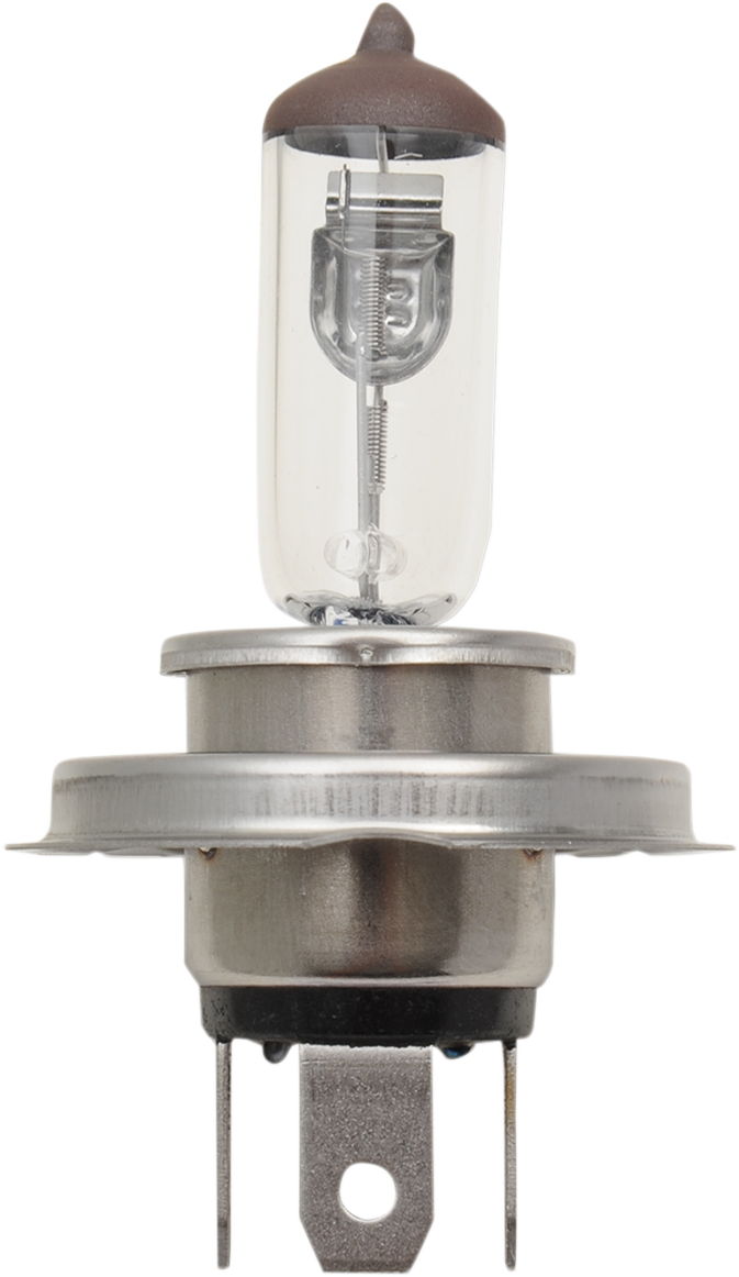 Heavy-Duty Halogen Bulb