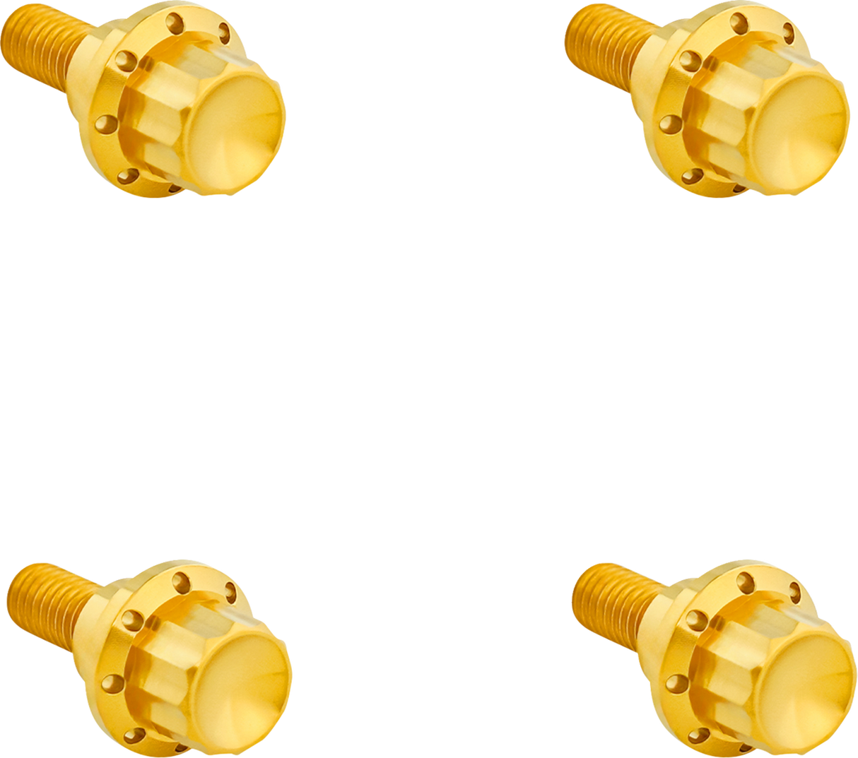 Windshield Titanium 12-Point Bolt Kit