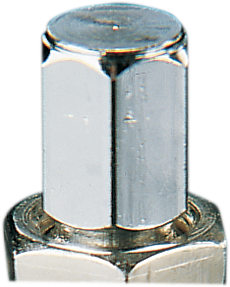 Tubeless Valve Stem