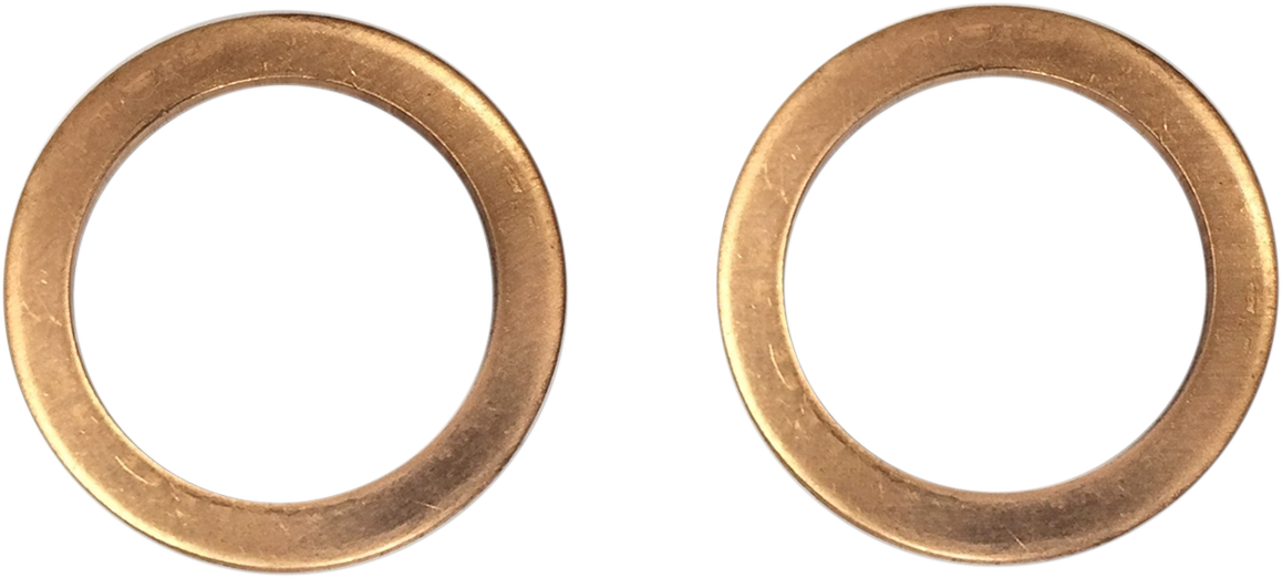 Fork Damper Tube Mount Washers
