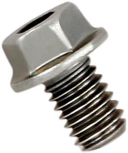Replacement Exhaust Bolt β Bolt