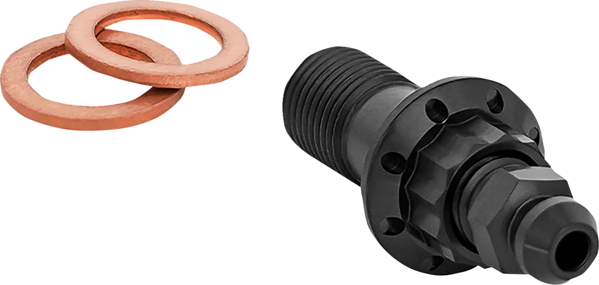 Titanium 12-Point Banjo Bolt