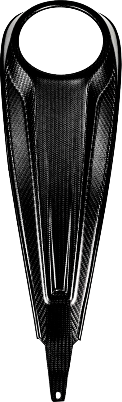 Carbon Fiber Dash Panel For Touring Models