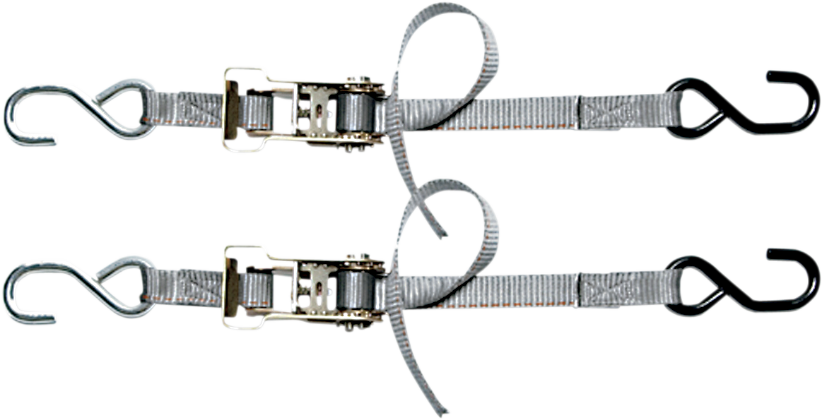 Cinchtite 2 Tie-Down Strap