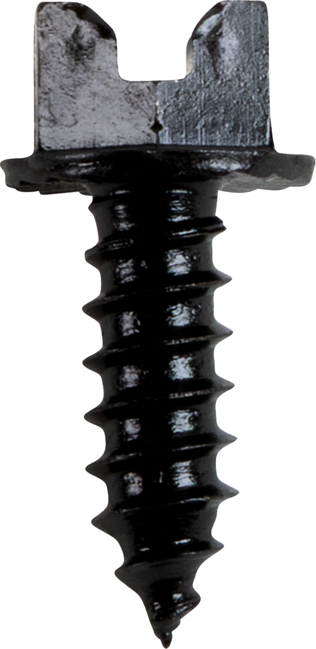 AMA Race Legal Traction Screws