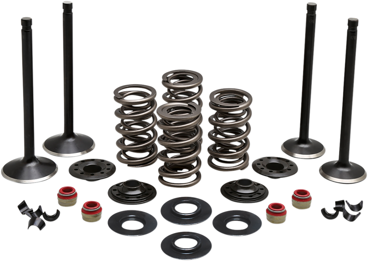 Engine Valve Kit