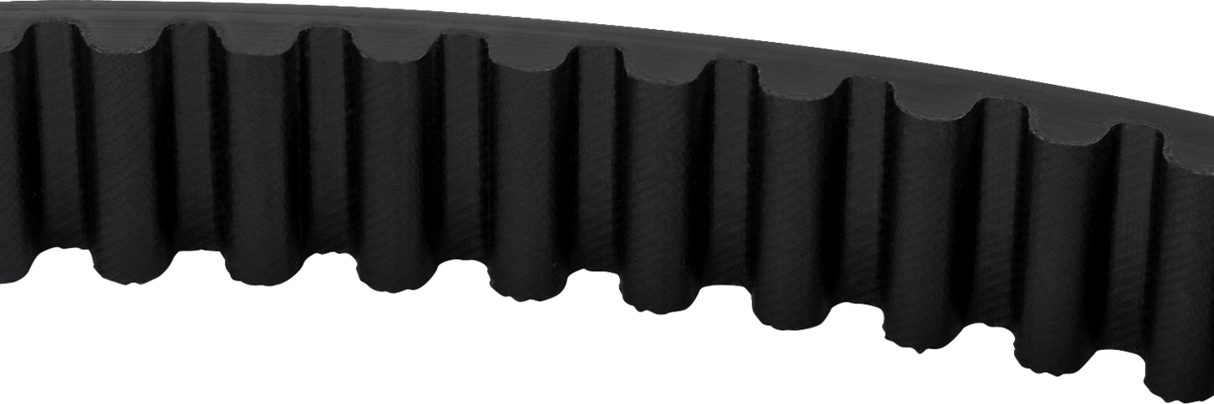 Rear Drive Belt