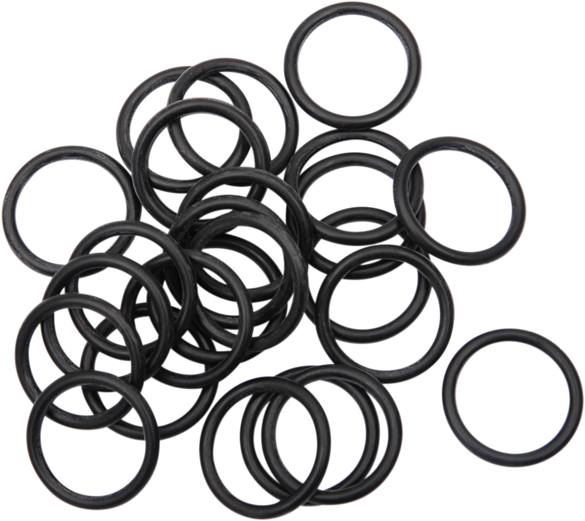 O-Ring