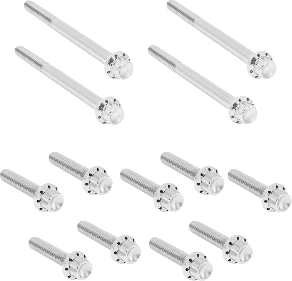 Outer Primary Cover Titanium 12-Point Bolt Kit