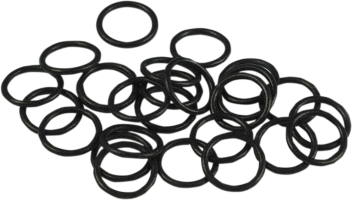 O-Ring