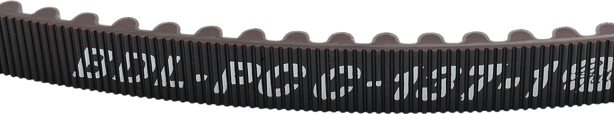 24 mm Rear Drive Belt