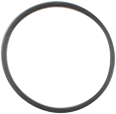 Starter O-Ring