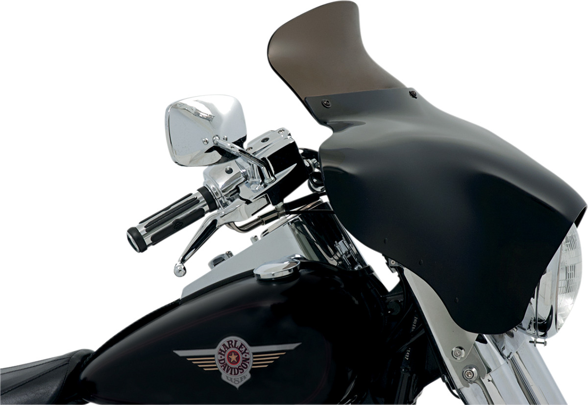 Batwing Spoiler Windshield