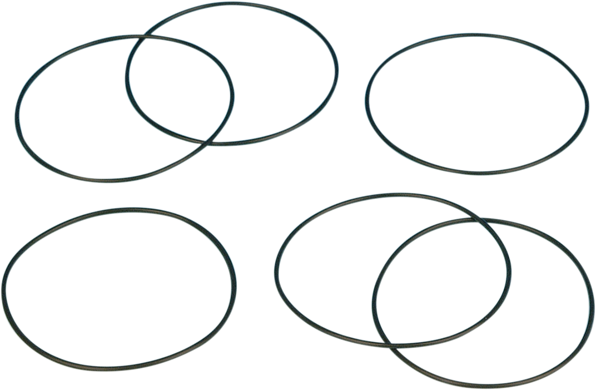 Turn Signal O-Ring