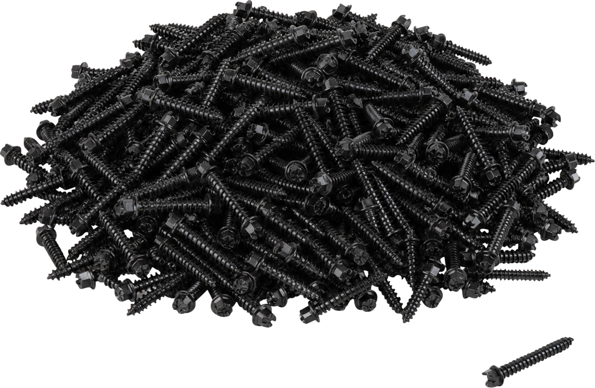 AMA Race Legal Traction Screws