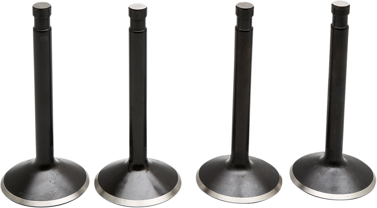 Black Diamond™ Engine Valve Kit