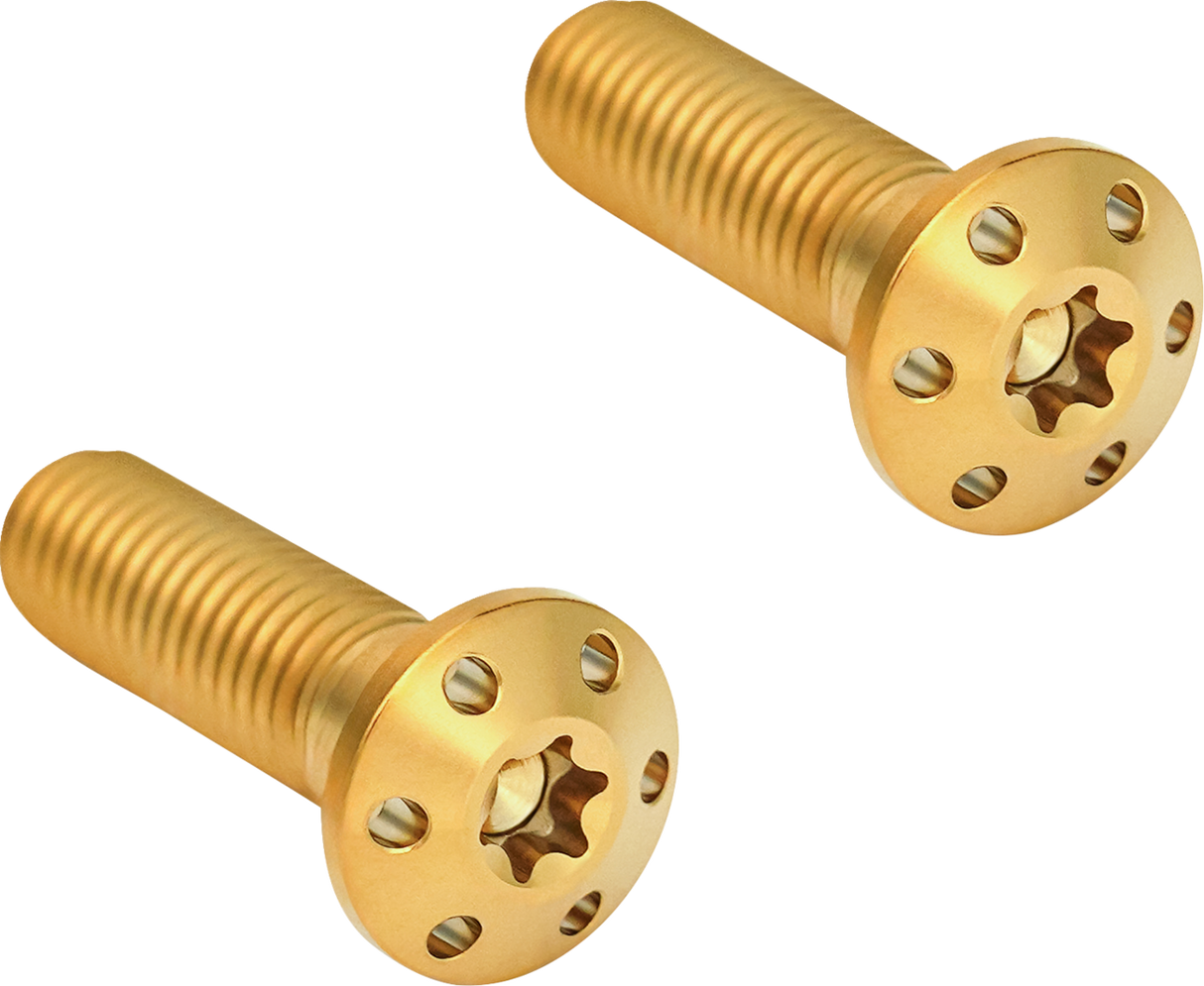 Brake Caliper Mounting Bolts