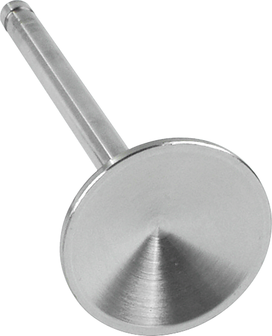 Replacement Stainless Steel Valves for S&S Heads