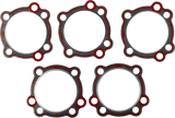 Replacement Cylinder Head and Compliance Fitting Gaskets