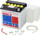 Heavy-Duty 12v Battery Kit