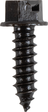 AMA Race Legal Traction Screws