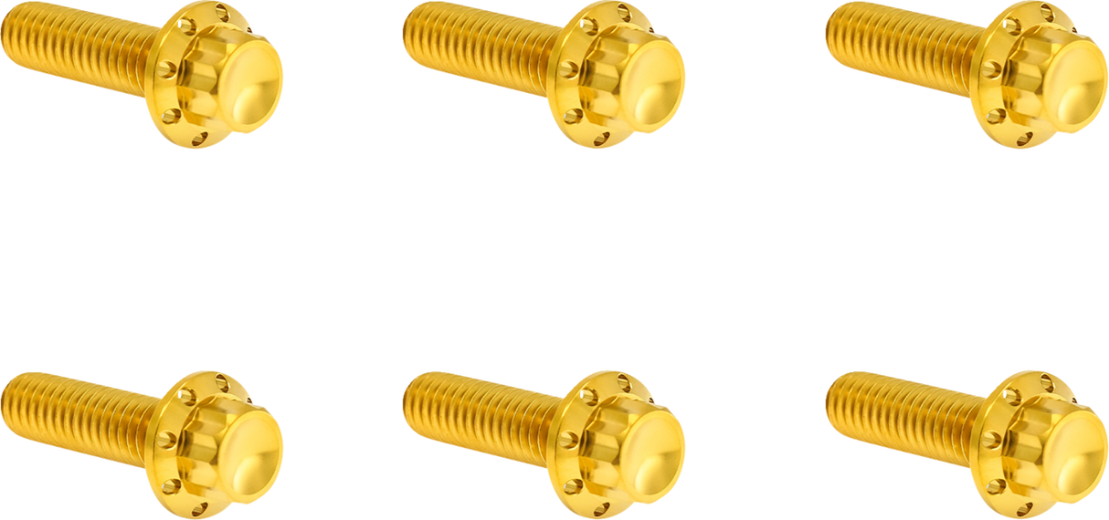 Transmission Top Cover Titanium 12-Point Bolt Kit