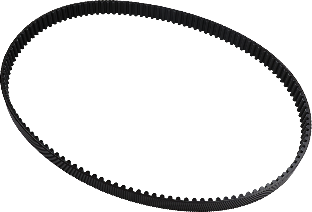 Rear Drive Belt
