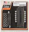 Motor Case Acorn Stud Kit