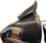 Windshield