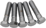Replacement Hex-Head Bolts