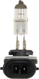 Halogen Bulb