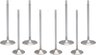 White Diamond® Valve Kit