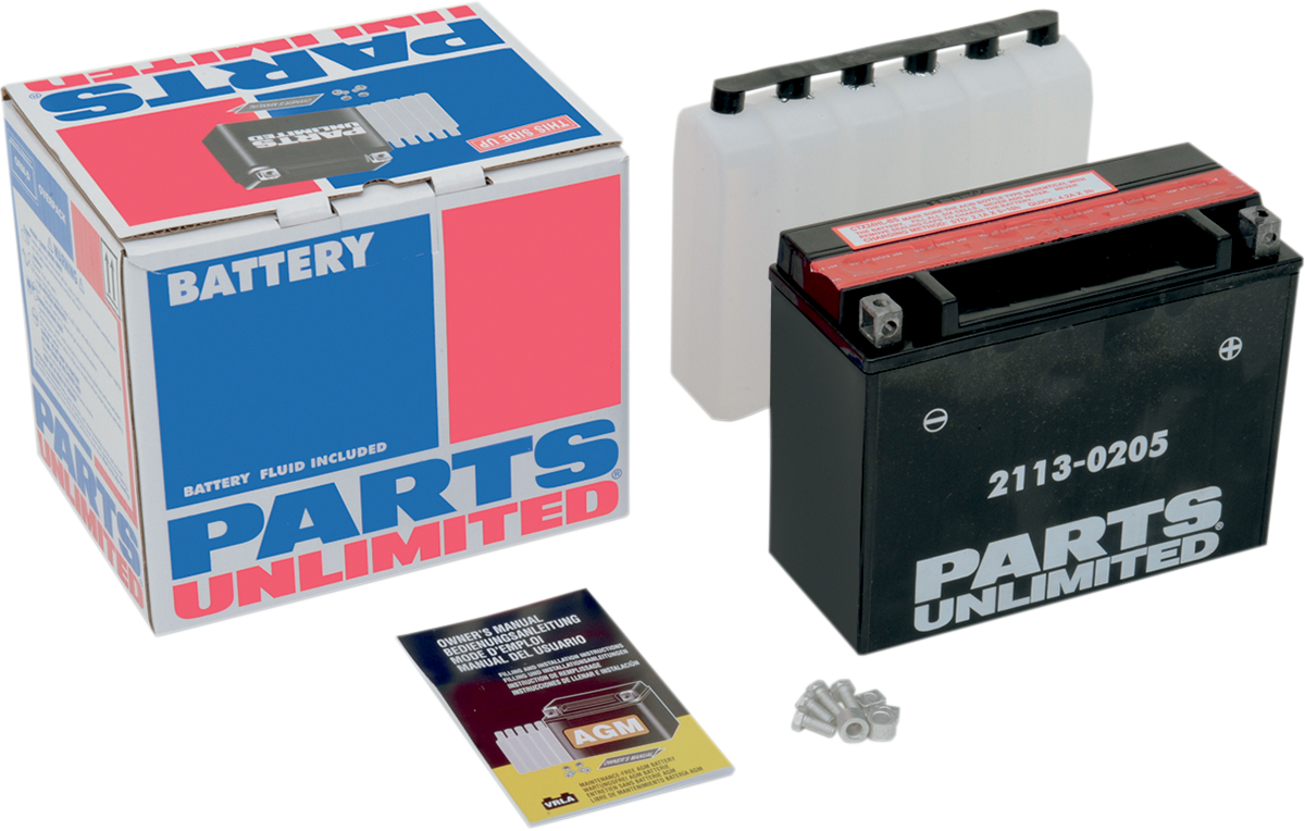 AGM Maintenance-Free Battery