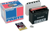 AGM Maintenance-Free Battery