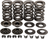 Racing Valve Spring Kit