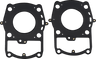 Cylinder Head Gasket/O-Rings