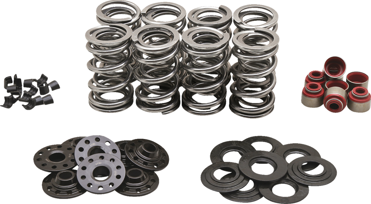 Valve Spring Kit