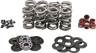 Valve Spring Kit