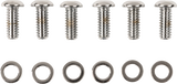Derby Cover Bolt Kit