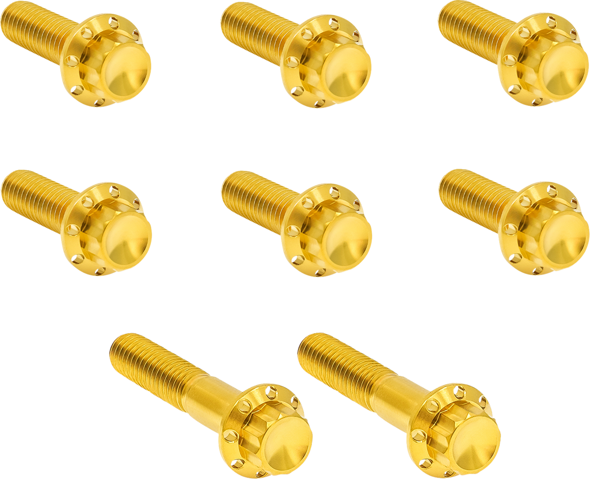 Transmission Trap Door Titanium 12-Point Bolt Kit — For 6-Speed Transmission