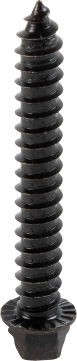 AMA Race Legal Traction Screws