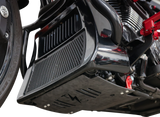 Forged Carbon Fiber Skid Plate