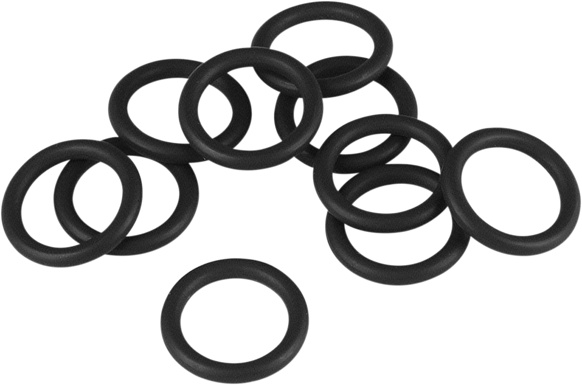 Air Cleaner Backplate O-Ring